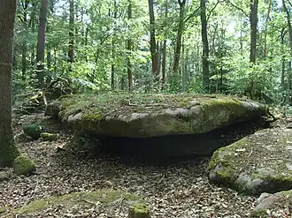 Gipfelbereich des Berges