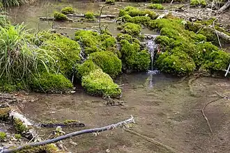 Ein kleiner "Wasserfall"