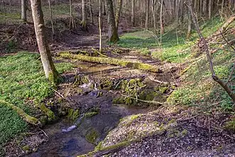 Bachlauf, versintert