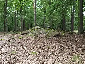 Hügelgrab im Gipfelbereich