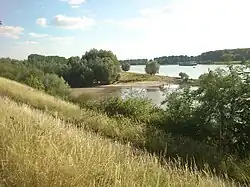 Mündung des Urdenbacher Altrheins