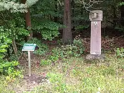 Forstreviergrenzstein Drei Hutbuchen