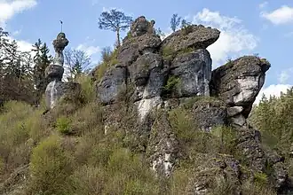 Weiherstaler Männchen