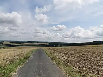 Der Naturraum Tauberberg, zwischen Gerlachsheim und Messelhausen, 2019