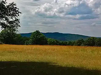 Blick von der Rohrhauswiese auf den Brandberg