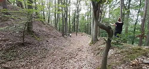 Westliches Graben-Wall-System; links die mittlere Vorburg