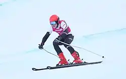 Kristofers Gulbis beim Riesenslalom