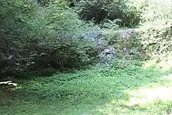 Erratischer Block bei Weiler im Allgäu