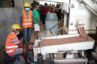 Verarbeitung von Lichtnüssen zu Öl für Kosmetika in Darasula