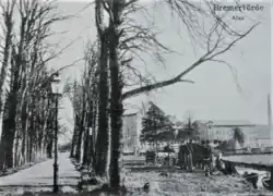 1908 Torfhafen Amtsallee