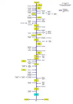 Stör mit Nebenflüssen