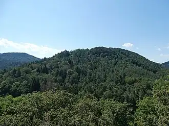 Ansicht vom Berwartstein aus