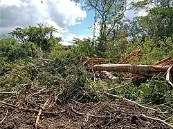 Oktober (Trockenzeit) und April (Regenzeit) in Ossouala