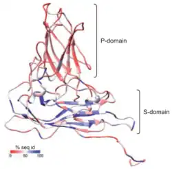 CAP-Strukturmodell von CHIV14[19]