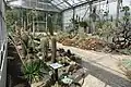 Botanischer Garten, Blick ins Gewächshaus
