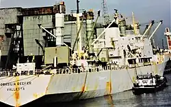 Brasilia Reefer löscht am alten Bananenschuppen