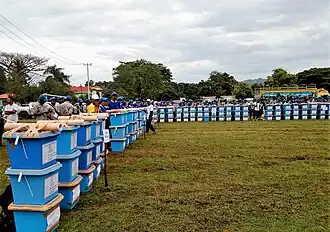 Wahlurnen vor dem Abtransport in die Lokale in Cova Lima