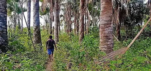 In der Aldeia Uatu-Ua im Mai