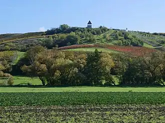 Schildberg (Nordseite)