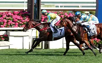 Zieleinlauf Kong Kong Derby 2024