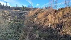 Der mit Gras überwucherte Wall mit vorgelagertem Graben, 2024