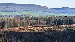 Die Wallanlage nach Abholzung des Waldes, 2024