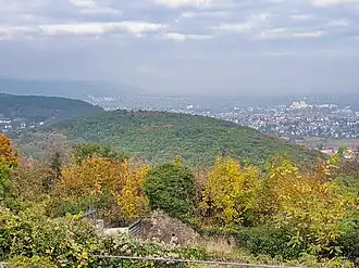 Heidelberg (Blick vom Schlossberg/Hambacher Schloss)