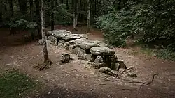 Eine langgestreckte Megalithanlage im Wald, bestehend aus großen, flach aufliegenden Decksteinen, die auf aufrechten Tragsteinen ruhen. Die Steine bilden eine Art Ganggrab oder Dolmen, teils bemoost, umgeben von Laubbäumen und Waldboden mit Blättern und Nadeln. Die Anlage wirkt uralt und ist teilweise in die Erde eingelassen. Die Umgebung ist schattig und natürlich belassen.