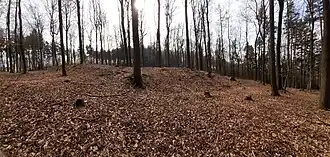 Der Abschnittswall im Norden der Ringwallanlage (Blick von Außen)