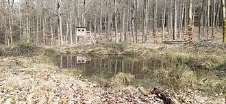 Quellteiche des späteren Röllbaches vor dem Abschnittswall auf der Passhöhe zum nördlich davorliegenden Schöllesberg