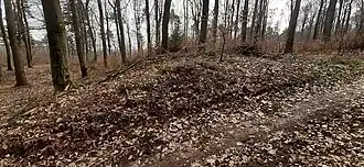 Walldurchbruch des Abschnittswalles auf dem mittleren Weg (Blickrichtung Osten)