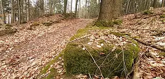 Walldurchbruch des mittleren Weges im Süden mit behauenem Längsstein vor dem Wall
