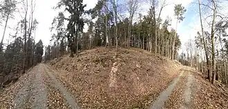 Der Lange Berg mit seiner Wallanlage von Osten