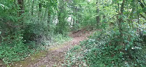 Der verlandete Halsgraben im Südwesten; rechts das Vorburggelände