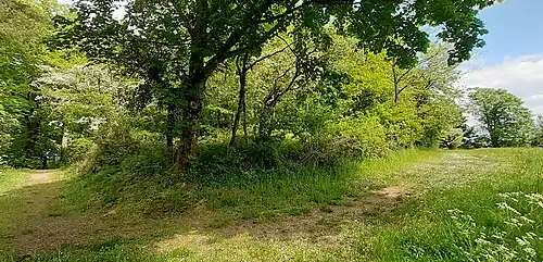 Panorama des Vorburggeländes