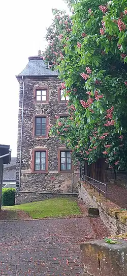 Zugangsseite des Burggebäudes mit verlandeter Brücke (2025)