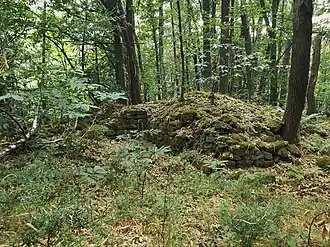 Reste der frühgeschichtlichen Anlage am Gipfel