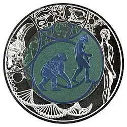 Evolution 25 Euro Niob (2014)