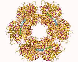 UDP-Glucose-6-Dehydrogenase
