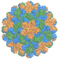 Kapsid des Tomato-bushy-stunt-Virus, Gattung Tombusvirus