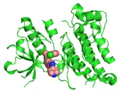 Anaplastische Lymphomkinase