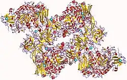 Pullulanase (Klebsiella pneumoniae)