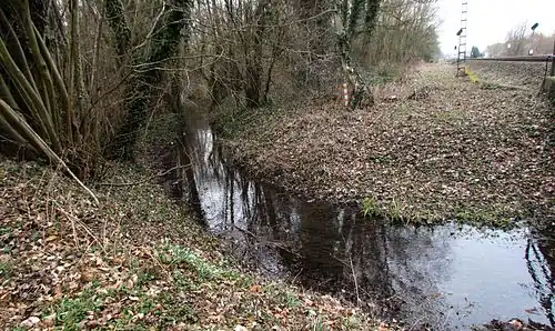 Trietbach bei Engbrück