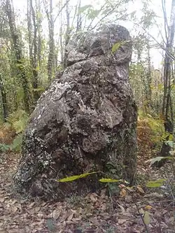 Menhir von Le Hochu
