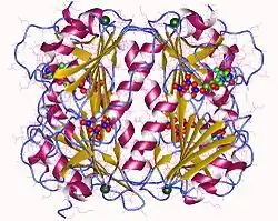 Thymidinkinase