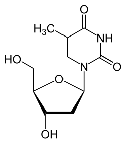 Strukturformel von Dihydrothymidin