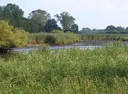 Wümme am Blockland bei Niedrigwasser