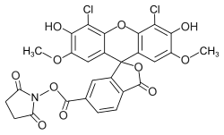 Struktur von 6-Carboxy-4′,5′-dichlor-2′,7′-dimethoxyfluorescein-N-succinimidylester
