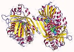 Kynurenin-3-Monooxygenase