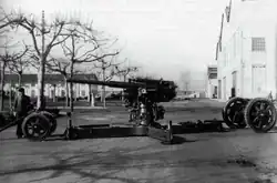 Cannone da 75/46 modello 34 7,5-cm-Flak 264/3 (i) mit Kreuzlafette